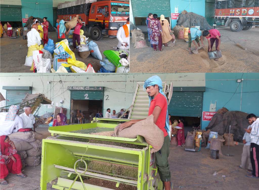 Natural Farming Gets a Guaranteed Market Farmers Confidence Growing in Himachal Pradesh